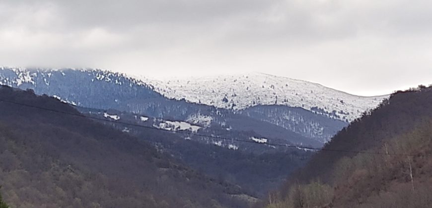 🌿☀️ NA PRODAJU – DVA TURISTIČKA APARTMANA – NA STAROJ PLANINI na krovu Srbije, apartmansko naselje Crni Vrh opština Knjaževac