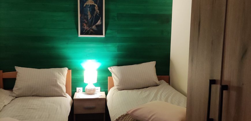 🌿☀️ NA PRODAJU – DVA TURISTIČKA APARTMANA – NA STAROJ PLANINI na krovu Srbije, apartmansko naselje Crni Vrh opština Knjaževac