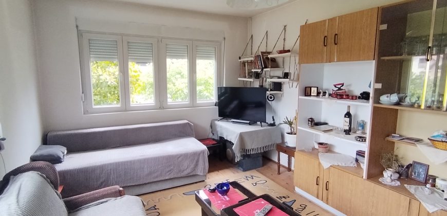 🏡 NA PRODAJU – PORODIČNA STAMBENA ZGRADA – KUĆA SA GARAŽOM 292 m² i dvorište – 409/321 m², u naselju Oskoruša u Zaječaru! 🌟
