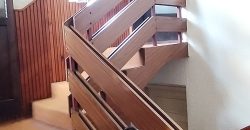 🏡✨ EKSKLUZIVNA PONUDA – PORODIČNA PRIZEMNA KUĆA SA POMOĆNIM STAMBENIM OBJEKTOM I GARAŽOM U NASELJU KOTLUJEVAC, ZAJEČAR ✨🏡