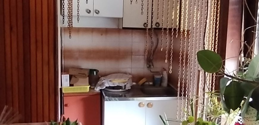 🏡✨ EKSKLUZIVNA PONUDA – PORODIČNA PRIZEMNA KUĆA SA POMOĆNIM STAMBENIM OBJEKTOM I GARAŽOM U NASELJU KOTLUJEVAC, ZAJEČAR ✨🏡