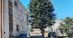 🌟 TOP PONUDA / UKNJIŽEN 1/1 / DVOSOBAN 52m² / ODMAH USELJIV STAN,  KLJUĆ 3, ZAJEČAR 🌟