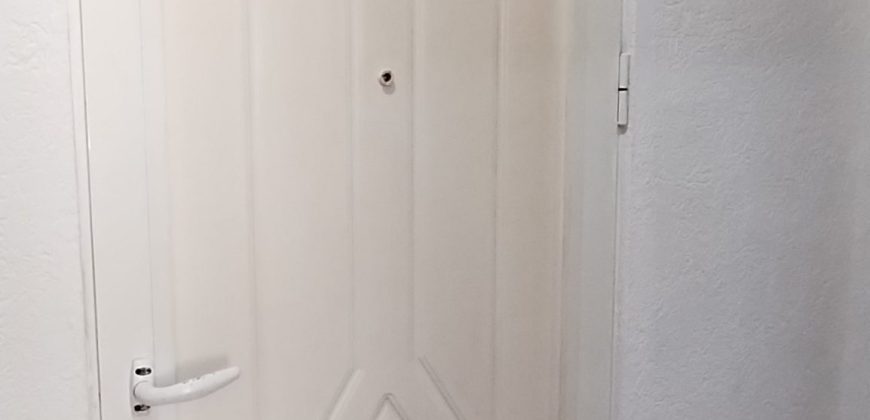🌟 TOP PONUDA / UKNJIŽEN 1/1 / DVOSOBAN 52m² / ODMAH USELJIV STAN,  KLJUĆ 3, ZAJEČAR 🌟